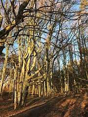 194_iP_220416_IMG_5161