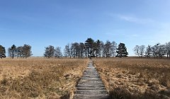 039_iP_220421_IMG_5177