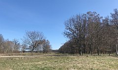 104_iP_220421_IMG_5188