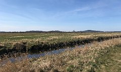 141_iP_220421_IMG_5198