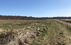 143_iP_220421_IMG_5200