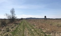 151_iP_220421_IMG_5209