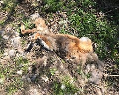 159_iP_220421_IMG_5214