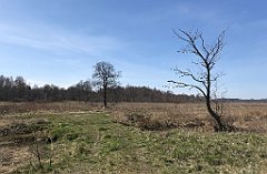 167_iP_220421_IMG_5221