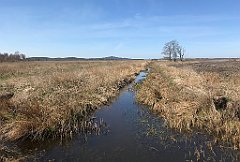 170_iP_220421_IMG_5224