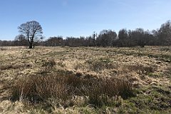 172_iP_220421_IMG_5226