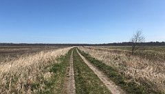 196_iP_220421_IMG_5236