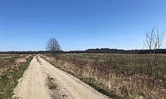 250_iP_220421_IMG_5248