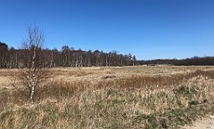 253_iP_220421_IMG_5253