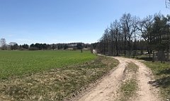 316_iP_220421_IMG_5260