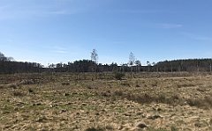 323_iP_220421_IMG_5264