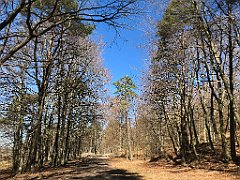 331_iP_220421_IMG_5267