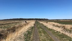 362_iP_220421_IMG_5280