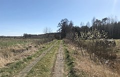 363_iP_220421_IMG_5281