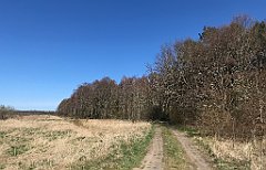 384_iP_220421_IMG_5288