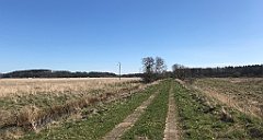 400_iP_220421_IMG_5292