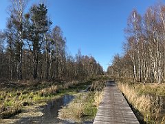 451_iP_220421_IMG_5308