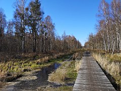 452_p20_IMG_20220421_163735