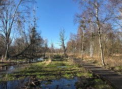 463_iP_220421_IMG_5310