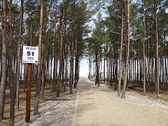 203_p20_IMG_20220510_114105