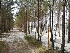 206_p20_IMG_20220510_114458