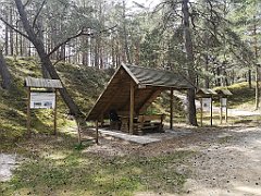 242_p20_IMG_20220510_123426