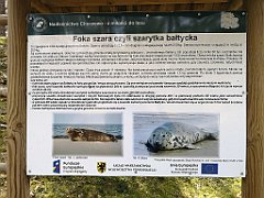 243_p20_IMG_20220510_123412