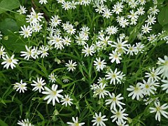 347_p20_IMG_20220517_160346