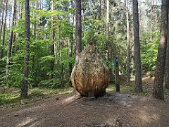 361_p20_IMG_20220517_165157