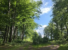 101_iP_220531_IMG_5600