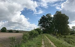 148_iP_220531_IMG_5622