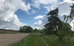 150_iP_220531_IMG_5624