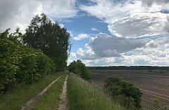 152_iP_220531_IMG_5627