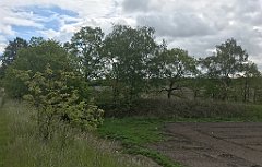 158_iP_220531_IMG_5635