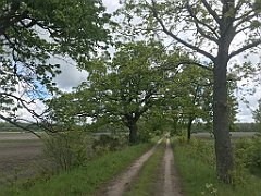 167_iP_220531_IMG_5642