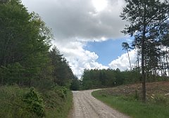 187_iP_220531_IMG_5666