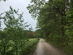 205_iP_220531_IMG_5675