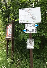 214_iP_220531_IMG_5684