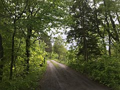 216_iP_220531_IMG_5689