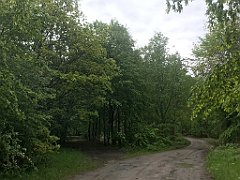 231_iP_220531_IMG_5707