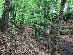 241_iP_220531_IMG_5720