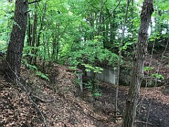 243_iP_220531_IMG_5722