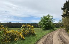 266_iP_220531_IMG_5750