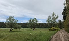 269_iP_220531_IMG_5753