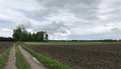 297_iP_220531_IMG_5782