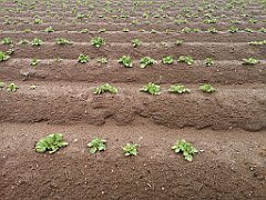 298_p20_IMG_20220531_125735