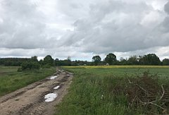 314_iP_220531_IMG_5793