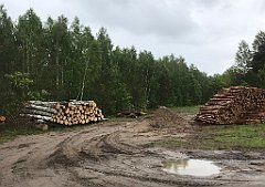 323_iP_220531_IMG_5805