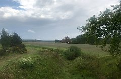 335_iP_220531_IMG_5818