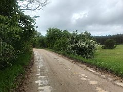 336_iP_220531_IMG_5820